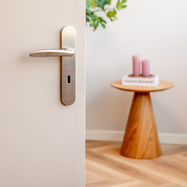 Benevento Türgriff Edelstahl mit abgerundetem Schild SL72