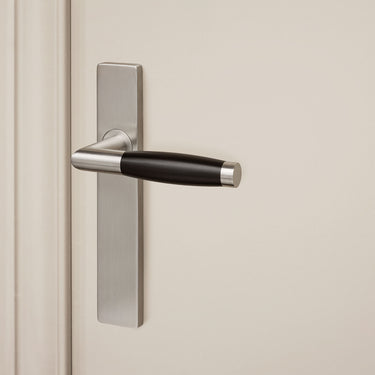 Ascoli Türgriff aus Edelstahl mit rechteckiger Schutzplatte