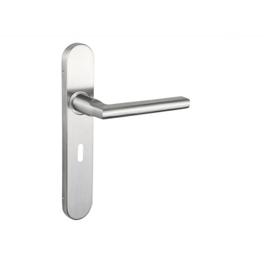 Teramo Türgriff Edelstahl mit abgerundetem Schild SL56